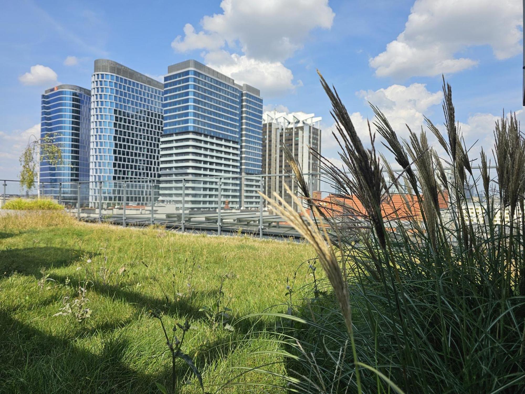 Urban Apartments Luxury Opolska 10 No 29, Free Garage, Self Check-In カトヴィツェ エクステリア 写真